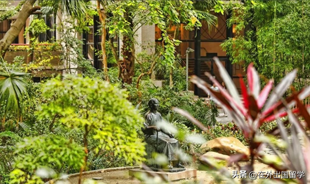 香港留学热门专业有哪些,香港读硕士的热门首选专业盘点(图2)