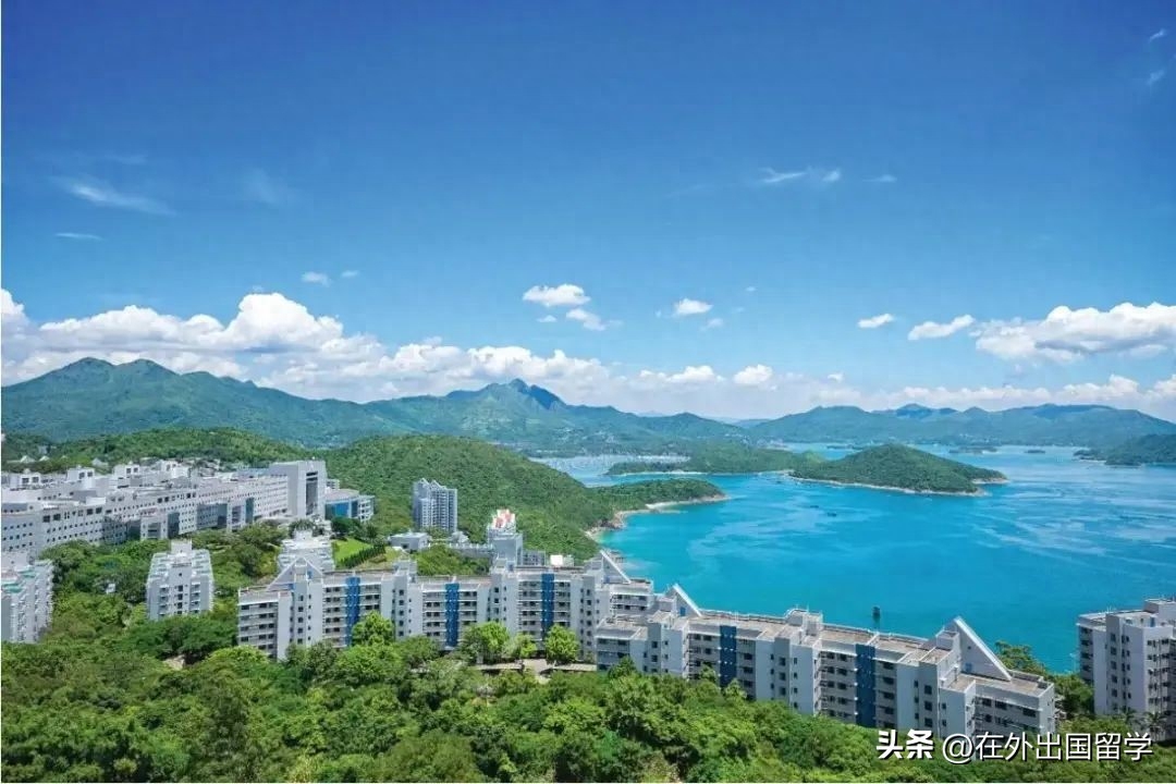 香港留学热门专业有哪些,香港读硕士的热门首选专业盘点(图4)