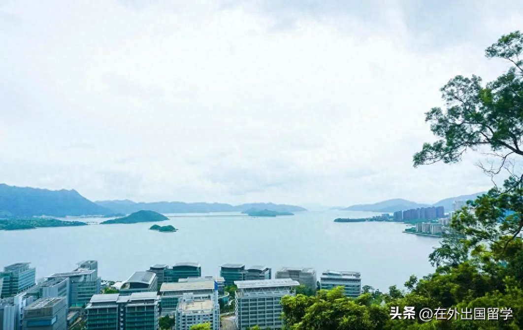 香港留学热门专业有哪些,香港读硕士的热门首选专业盘点(图19)