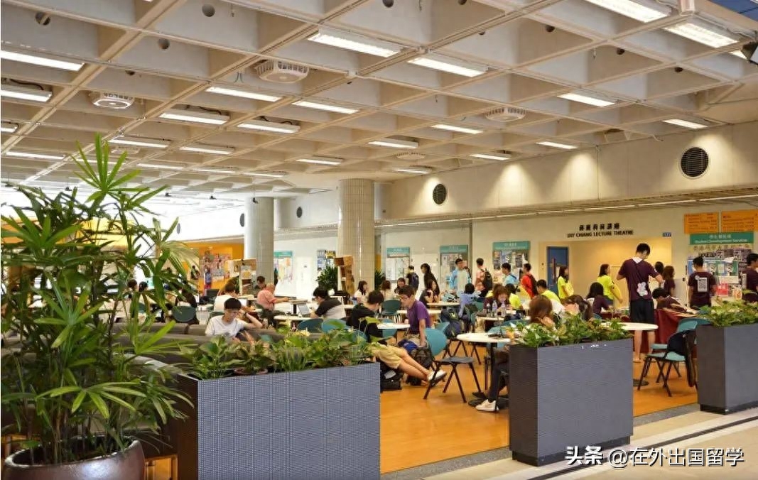 香港留学热门专业有哪些,香港读硕士的热门首选专业盘点(图12)