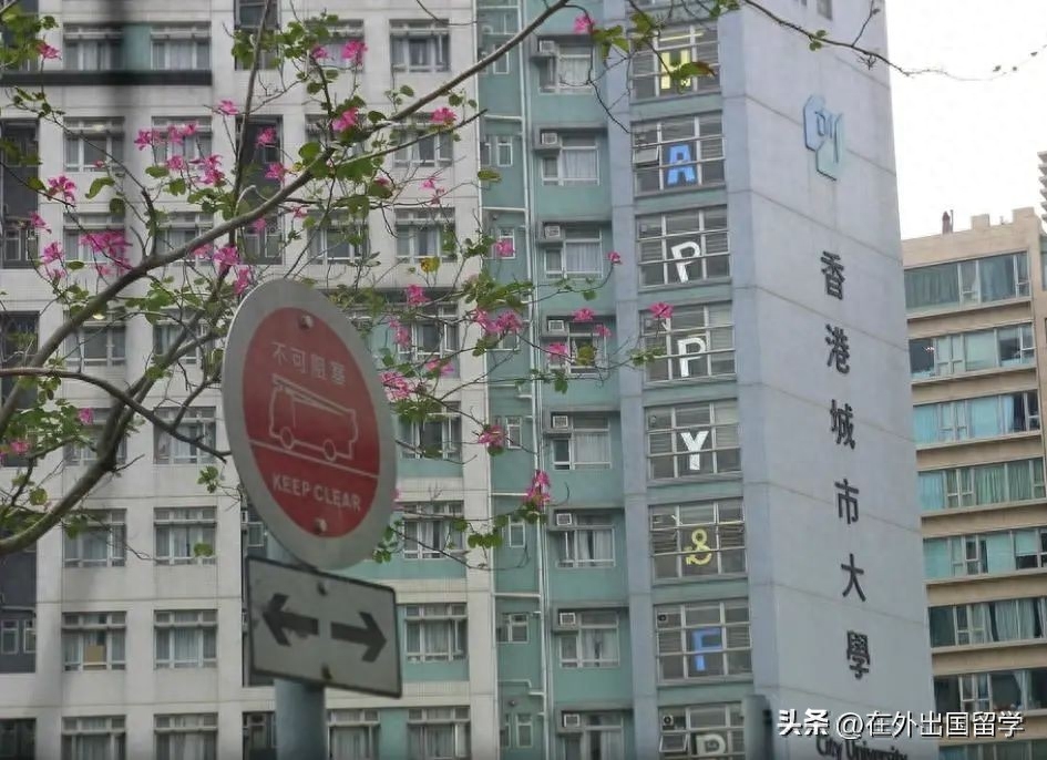 香港留学热门专业有哪些,香港读硕士的热门首选专业盘点(图10)