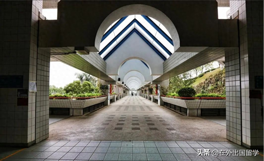 香港留学热门专业有哪些,香港读硕士的热门首选专业盘点(图13)