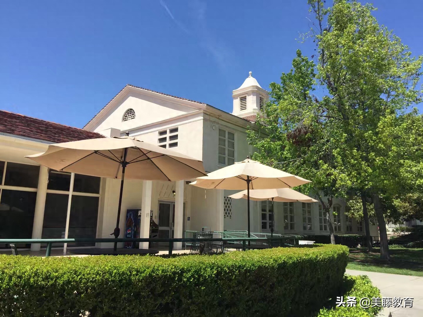 到美国留学条件是什么,超详细的美国留学条件汇总(图1)