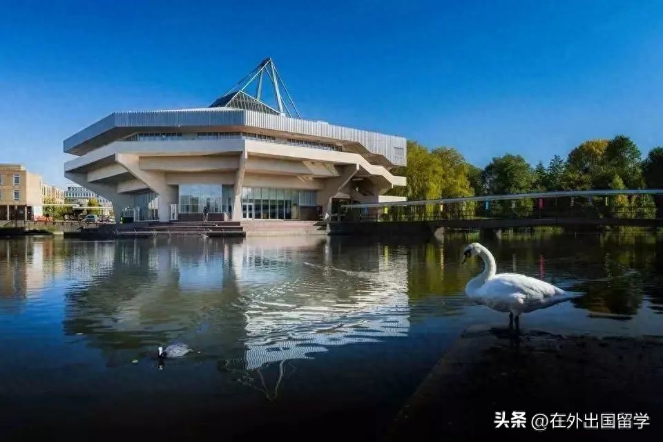 出国留学教育专业好就业吗,英国留学好就业的教育学专业院校推荐(图19)