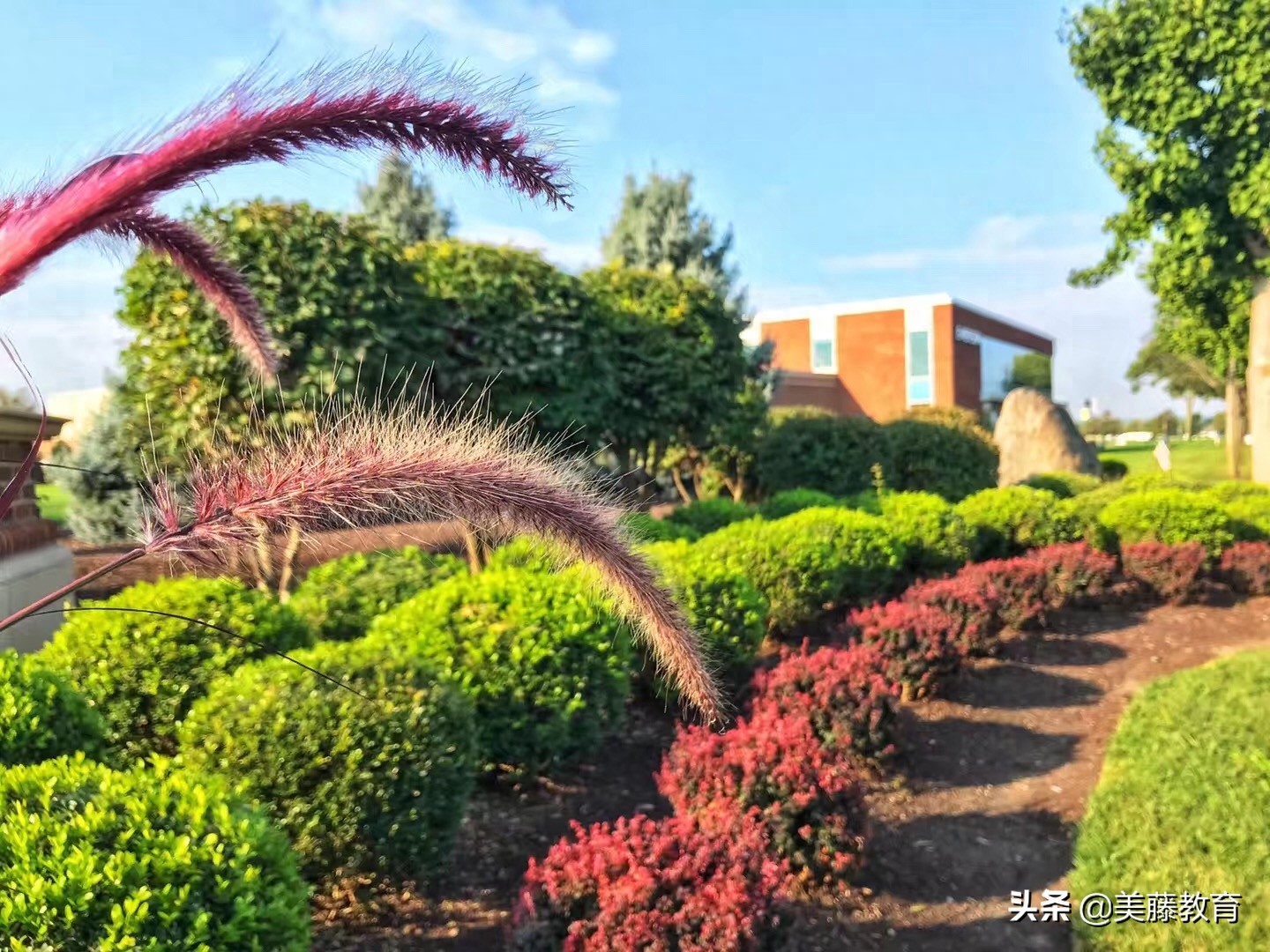 成考大专学历怎么出国留学,成教专科学历申请美国留学的条件与流程(图1)