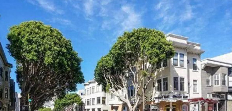 到美国留学费用多少一年,美国留学一年的大概费用详析(图3)