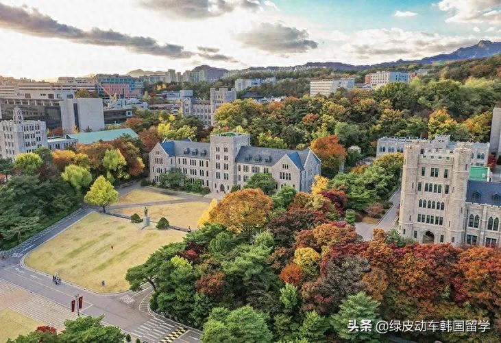 去韩国留学好吗容易找工作吗,韩国留学毕业后的就业前景解析(图4)