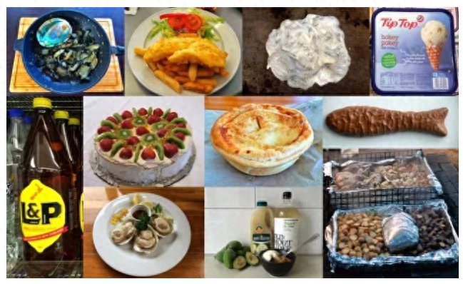 新西兰小学留学费用大概多少高吗,新西兰读小学留学费用详述(图2)