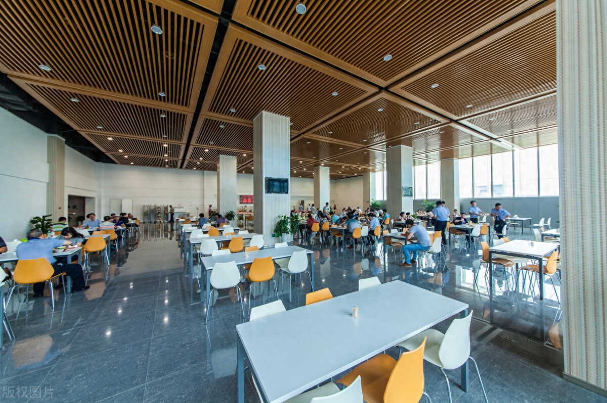 美国留学回国就业进入央企难吗,留学生进入国企、央企的渠道介绍(图2)