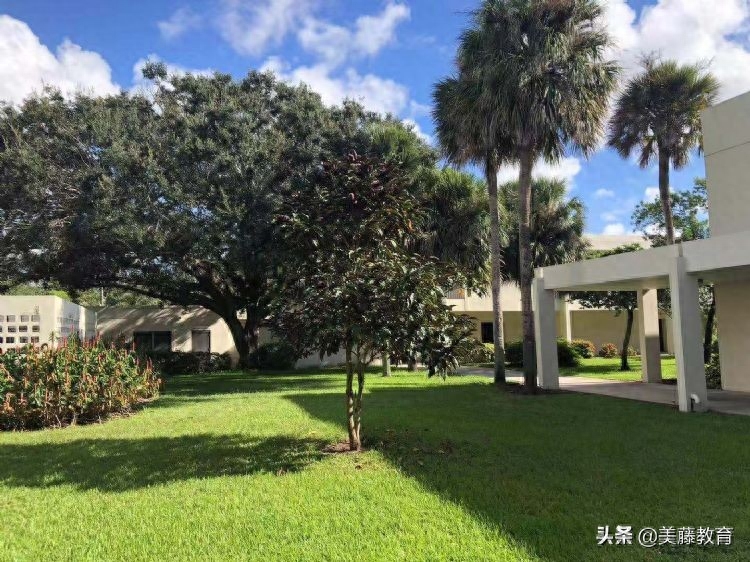 小学可以去美国留学吗,小学美国留学的三大基本要求(图1)