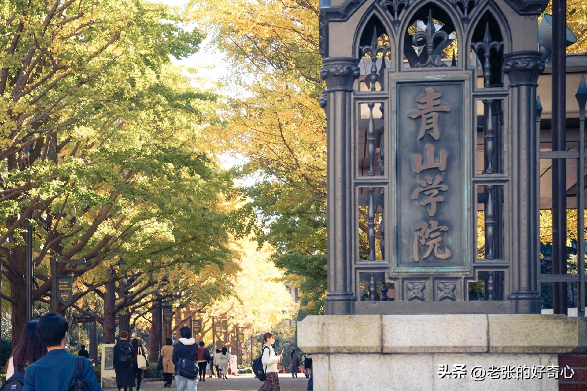 日本留学的大学排名是什么,日本大学最新人气排行榜(图4)