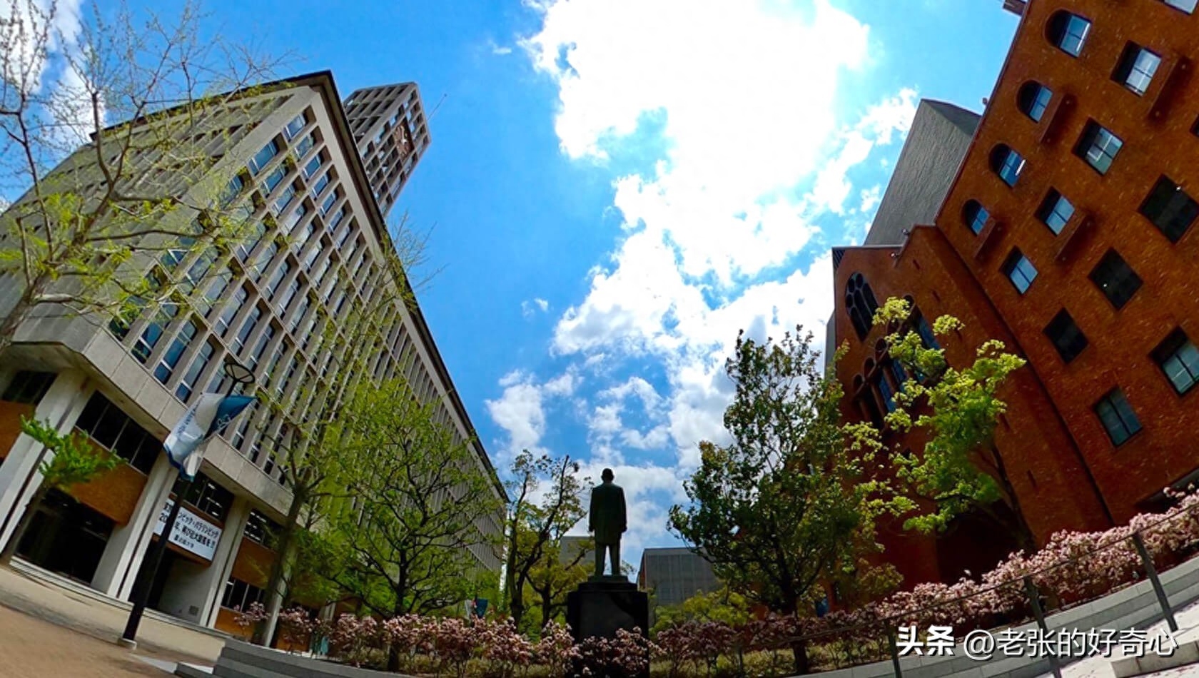 日本留学的大学排名是什么,日本大学最新人气排行榜(图5)