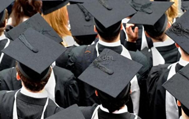 30岁去留学能干什么,大龄留学申请全流程及条件(图1)