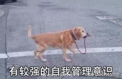 日本留学打工需要什么条件,须知!在日留学打工兼职规定全面总结(图1)