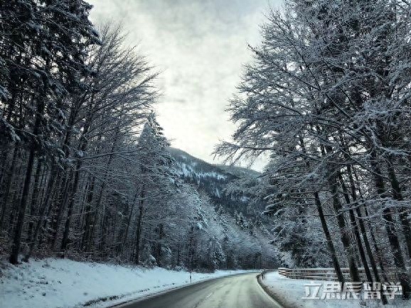 德国留学生毕业后怎么找工作,德国留学毕业的找工作超强攻略(图1)