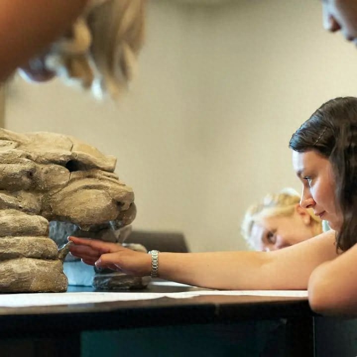 意大利留学学什么专业好,意大利留学就业前景最好的部分专业介绍(图4)