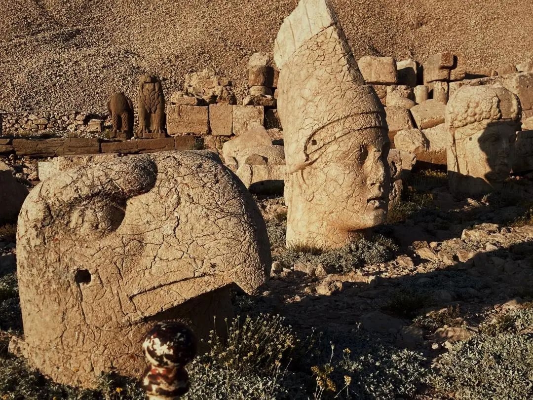 意大利留学学什么专业好,意大利留学就业前景最好的部分专业介绍(图7)