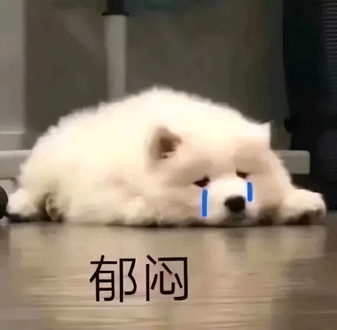 家长想陪孩子出国留学怎么办,超详细的留学陪读攻略来了(图2)