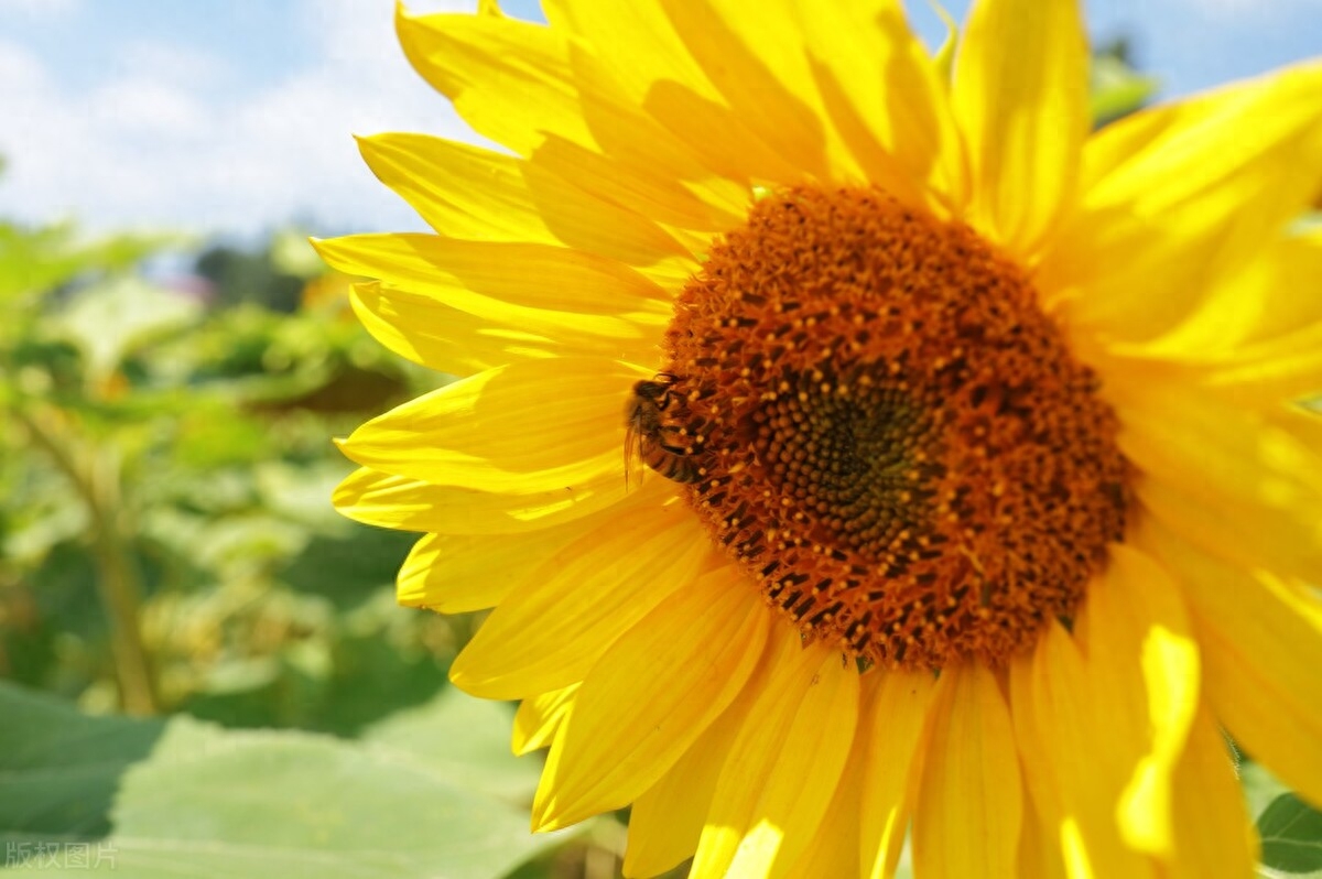 出国留学要带什么,超实用的出国留学必备物品清单表(图1)