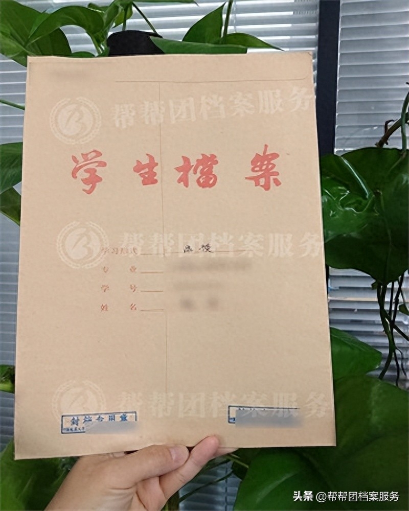成人大专档案怎么存档,成人学历档案存档方法分享(图3)