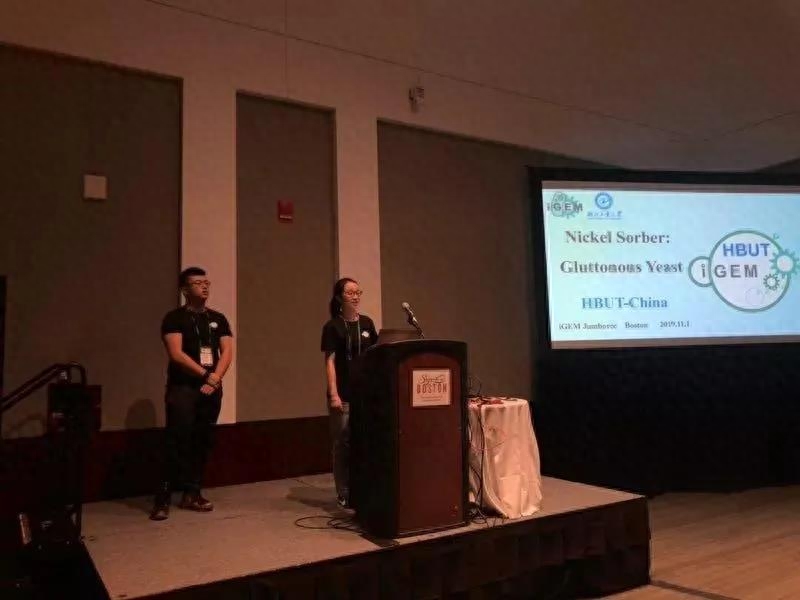 留学预科在国内还是在国外好,国内外的留学预科区别详解(图1)