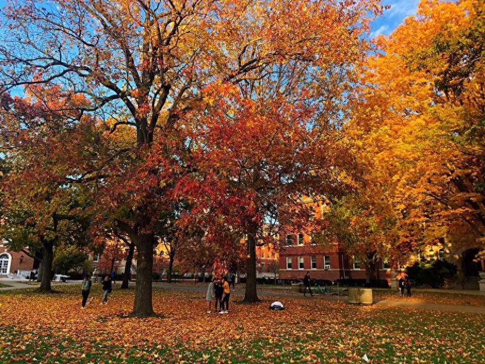 出国读研真的要自己掏钱嘛,留学拿到资助的6种办法分享(图1)