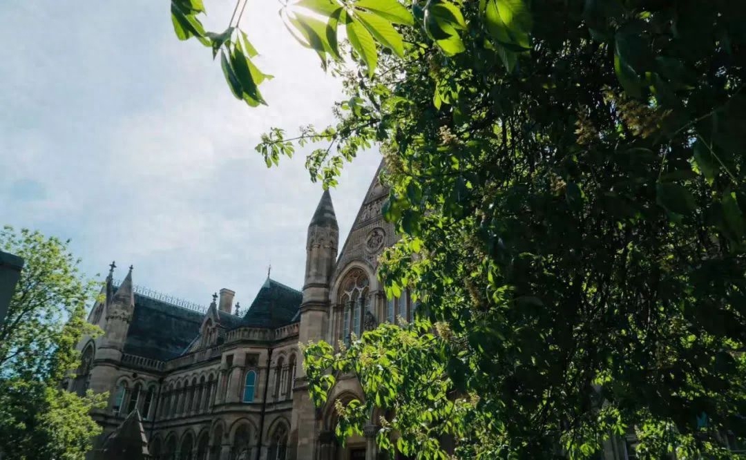 怎么开成绩单和在读证明,分享90%学生开成绩单会忽略的细节(图1)