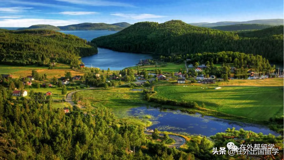 24Fall留学申请想转专业怎么办,一篇超强的留学转专业攻略分享(图2)