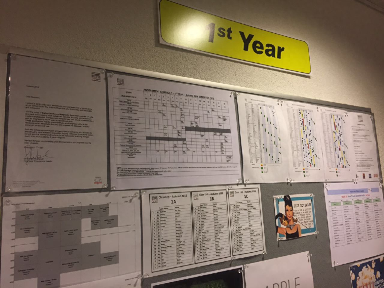 瑞士留学怎么样,24年瑞士留学常见的10大问题大盘点(图1)