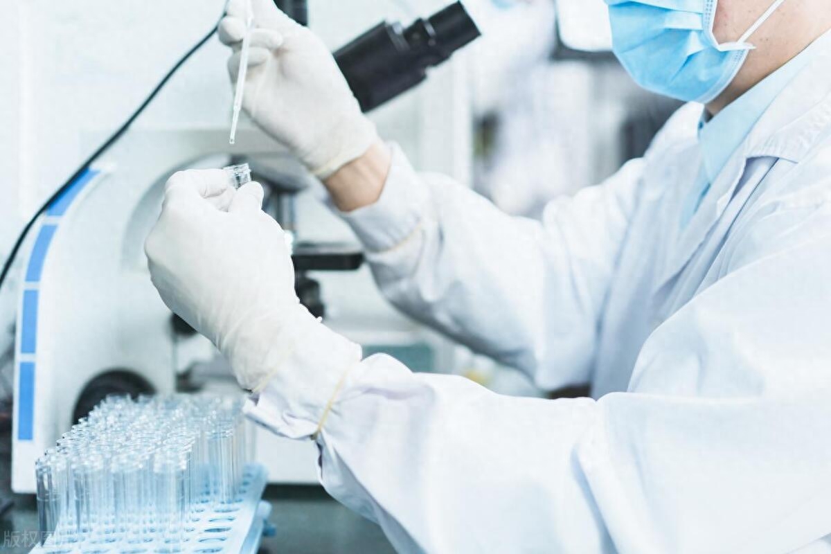 公派访学的三种方式究竟哪个更合适,最详细的公派出国留学方式解析(图1)