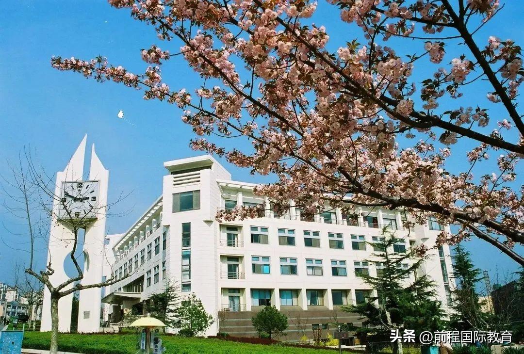青岛大学2+2留学项目对接哪些院校,24年青岛大学2+2留学项目培养模式及合作院校分享(图2)