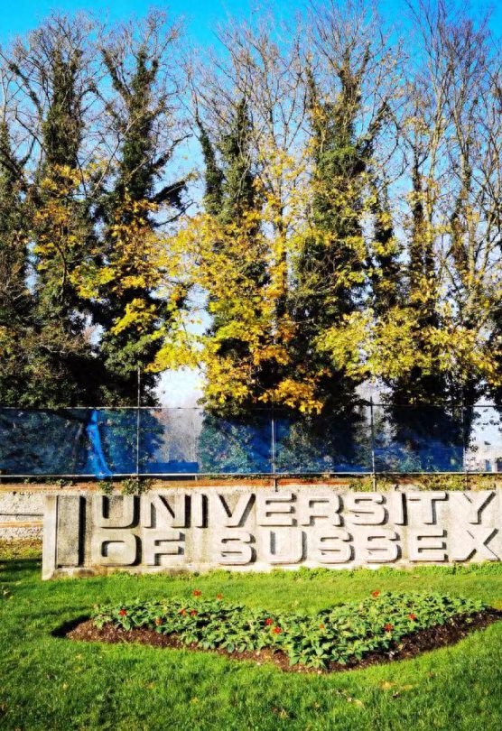 厦门大学国际学院2+2国际本科英澳合作项目坑不坑,最新的厦门大学国际学院2+2项目详解分享(图2)