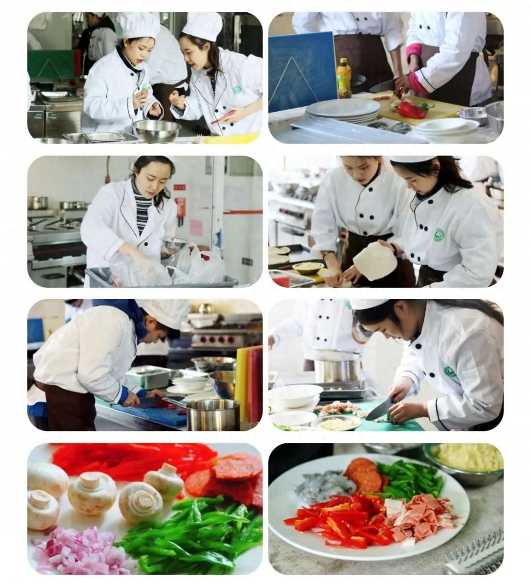 西南财经大学本科1+3|2+2留学项目选哪个好,详细的西南财经大学留学项目报考指南分享(图13)