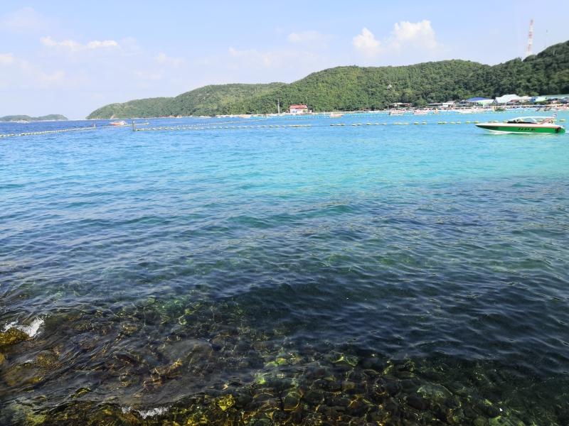 泰国清迈大学留学大概需要多少费用,24年考生必看的清迈大学留学硕士博士费用详解(图1)