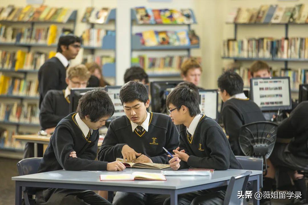 新西兰有哪些可接受转专业的专业,新西兰八大开设的不需本科背景的硕士学位项目分享(图6)