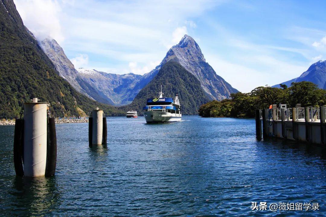 新西兰有哪些可接受转专业的专业,新西兰八大开设的不需本科背景的硕士学位项目分享(图2)