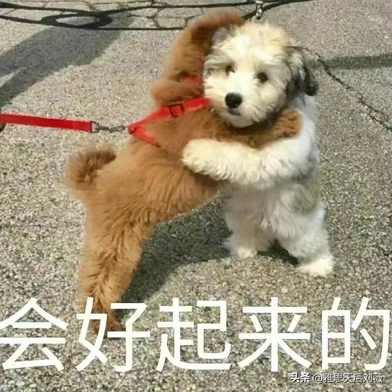 雅思怎么进行学习时间规划,雅思高分的保姆级备考作息安排表分享(图2)