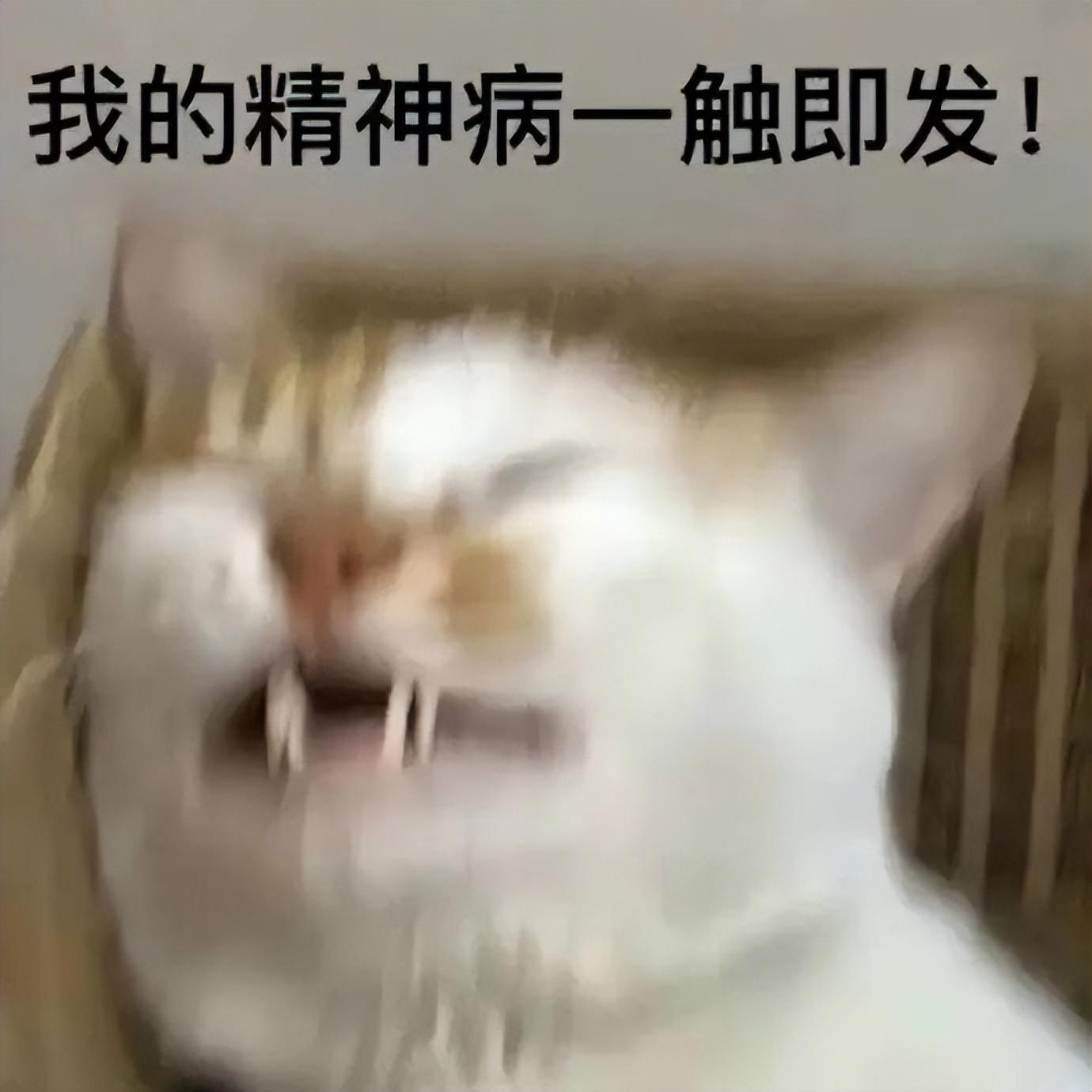 雅思怎么考高分,过来人雅思8.5分考生的时间安排表分享(图1)