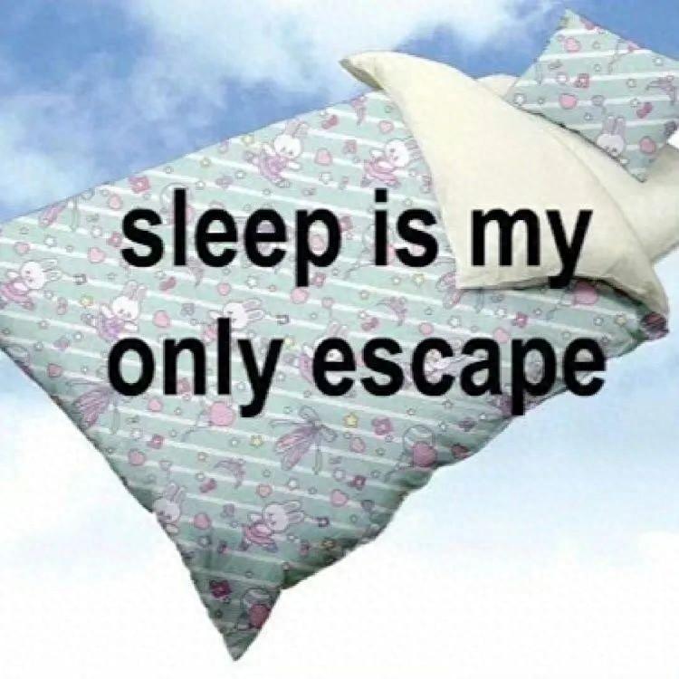 如何判断自己目前雅思水平,不看必亏的英语四六级分数与雅思分数对照及3个月雅思备考计划分享(图1)