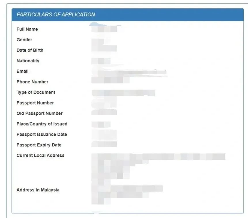 马来西亚留学签证怎么办理,24年学生电子签证Evisa申请攻略附超详细图文流程解读(图13)