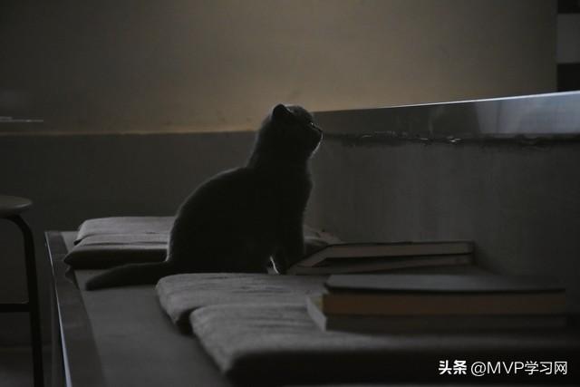 钢琴去哪个国家留学比较好,超适合钢琴留学的3个国家推荐(图1)