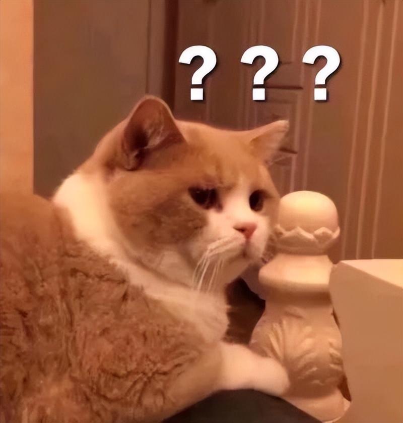 服装设计留学不知道如何择校,我这有份全网最强的服装设计留学攻略分享(图1)