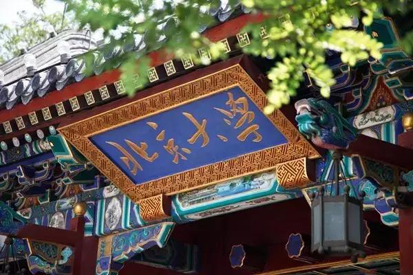 国内院校出国留学率最高的有哪几所,揭秘出国留学人数最多的10所中国大学(图3)