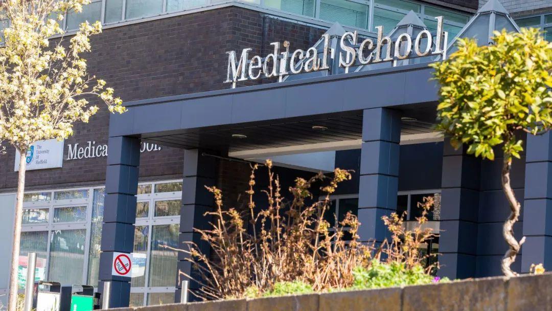 海外留学雅思成绩要求多少,最受留学生喜爱的10所英国大学雅思成绩要求汇总(图3)