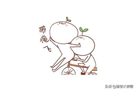 辽宁出国留学中介靠谱的有哪些,辽宁10大留学中介排名大揭秘(图3)