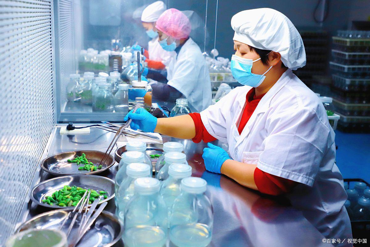 食品专业就业怎么样,深度解析食品科学与工程类发展趋势和就业前景(图3)