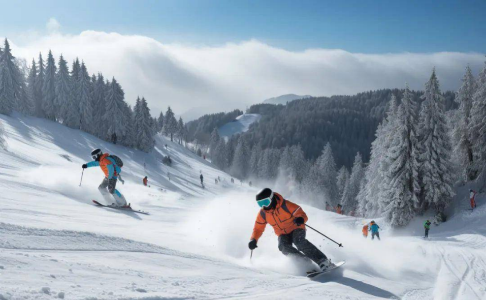 怎么样才能成为美国名校的国际体育生,成为美国名校国际体育生并获得奖学金的有效建议分享(图5)