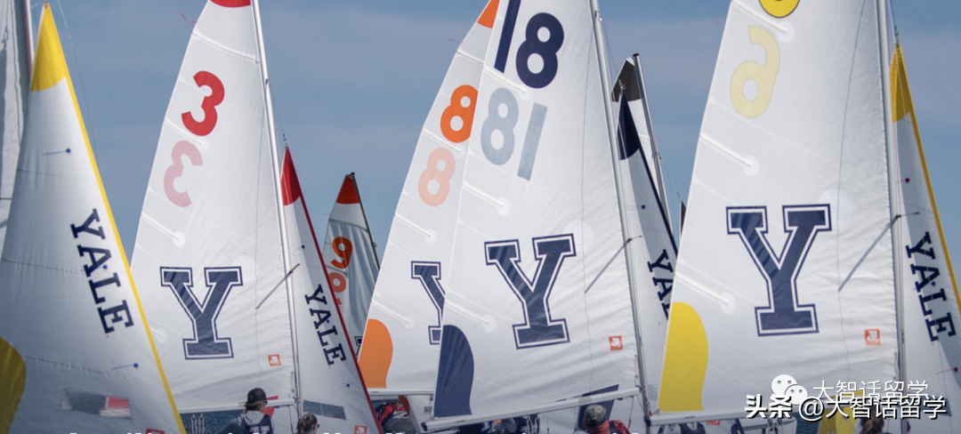 体育特长生想进耶鲁怎么办,揭秘耶鲁大学体育特长生报考需求(图1)