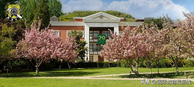 高中艺术生留学哪些国际院校值得去,揭秘艺术留学全国国际高中20强(图1)
