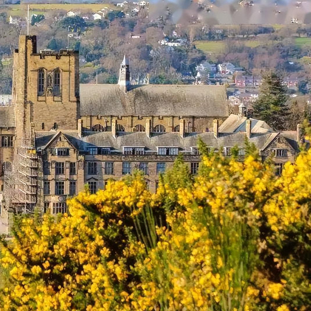 西南财经大学出国留学预备学院有哪些项目,详细的西南财经大学留学项目介绍(图9)